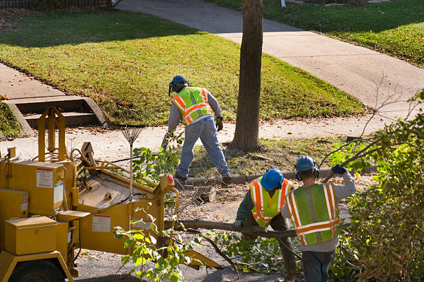 Best Mulching Services  in Boonville, CA